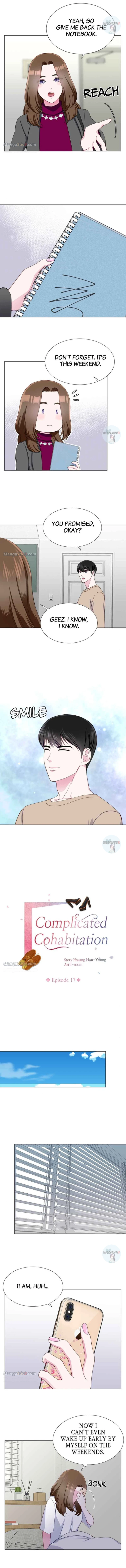 Complicated Cohabitation Chapter 17 - page 2