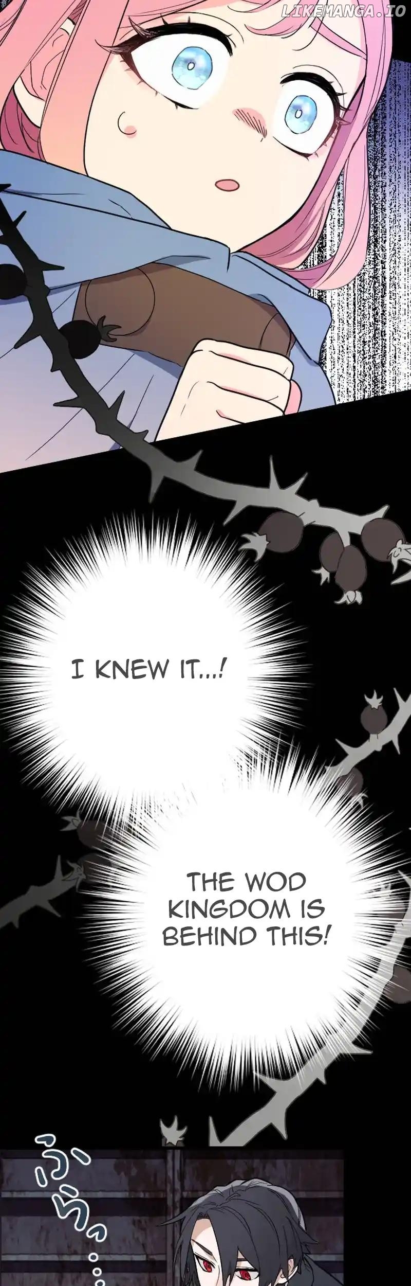 The Fairy Princess Has Decided to Take Revenge Chapter 26 - page 33