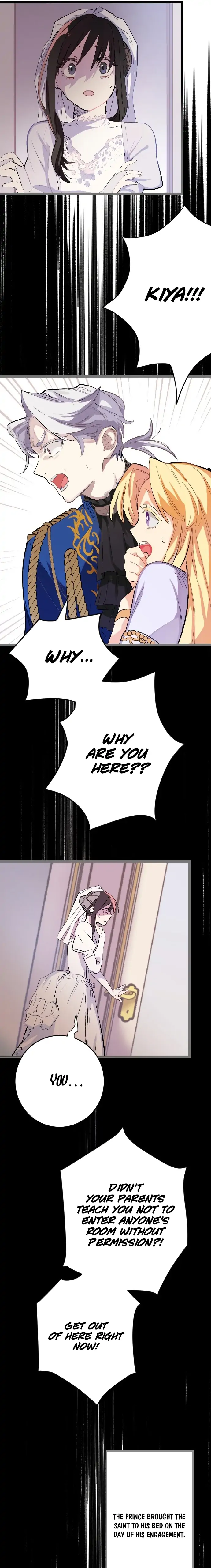 The Fairy Princess Has Decided to Take Revenge chapter 1 - page 14