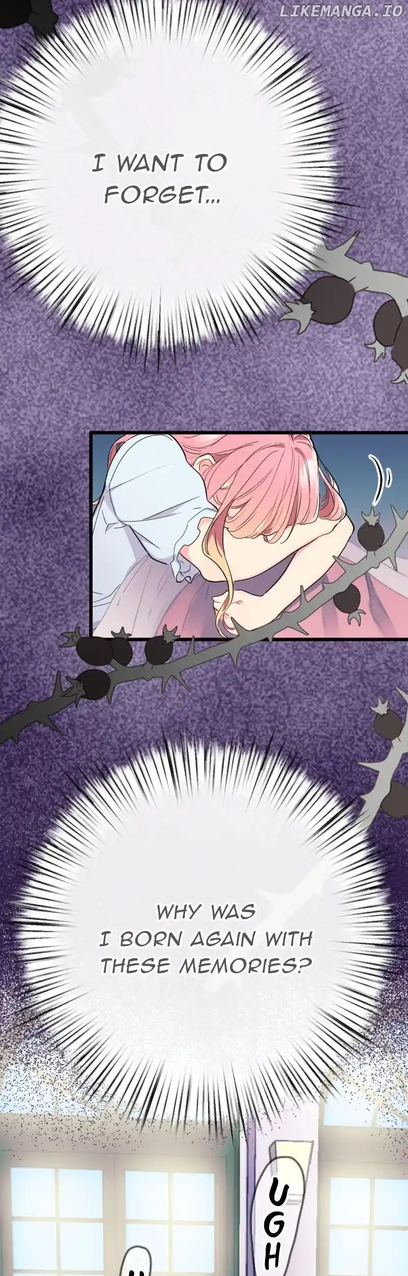 The Fairy Princess Has Decided to Take Revenge Chapter 30 - page 8