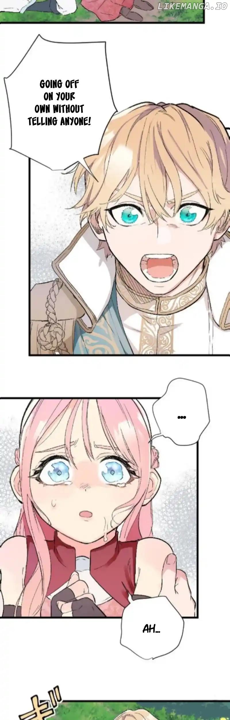 The Fairy Princess Has Decided to Take Revenge Chapter 17 - page 22