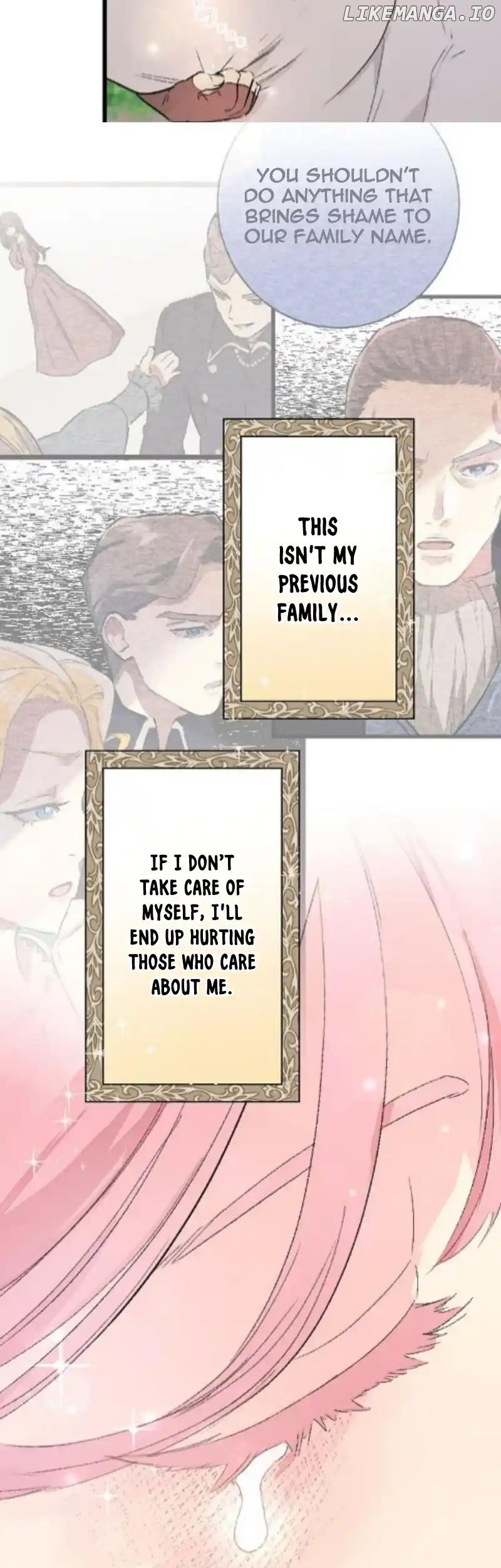 The Fairy Princess Has Decided to Take Revenge Chapter 17 - page 24