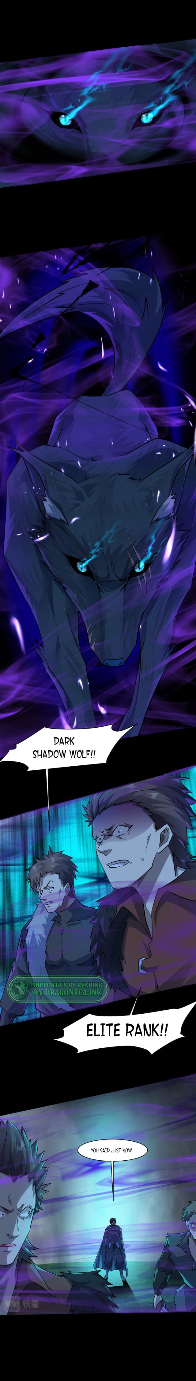 The Lone SSS-Class Summoner chapter 8 - page 11