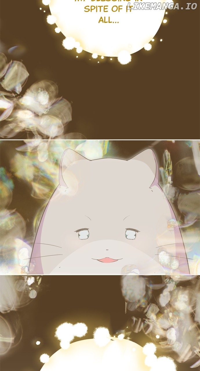 My Husband Changes Every Night Chapter 93 - page 47