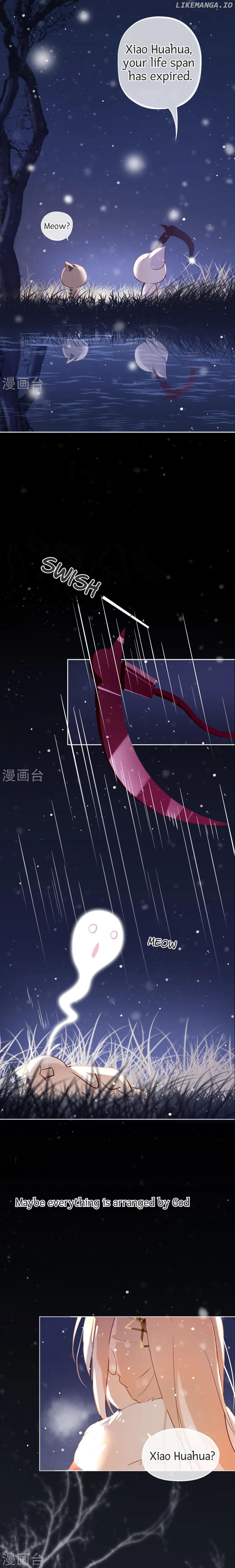 My Superior Daoist Immortal Chapter 0.1 - page 4