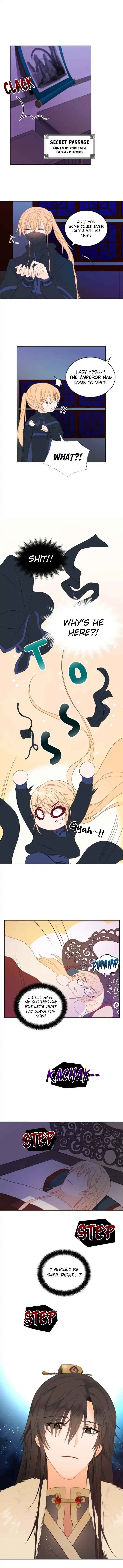 Contract Concubine Chapter 5 - page 5