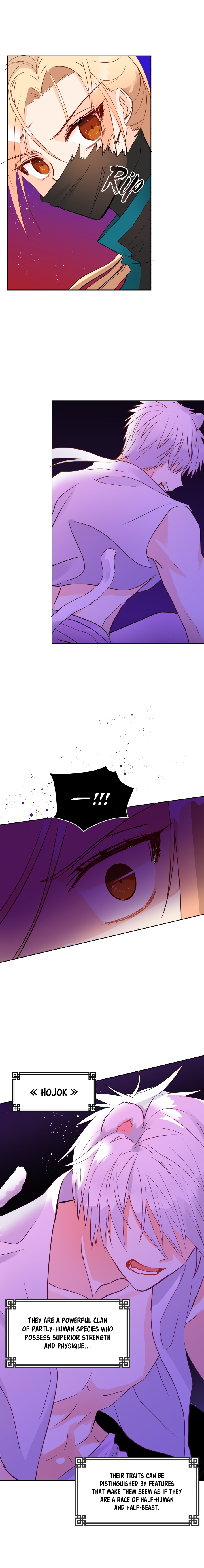 Contract Concubine Chapter 28 - page 17