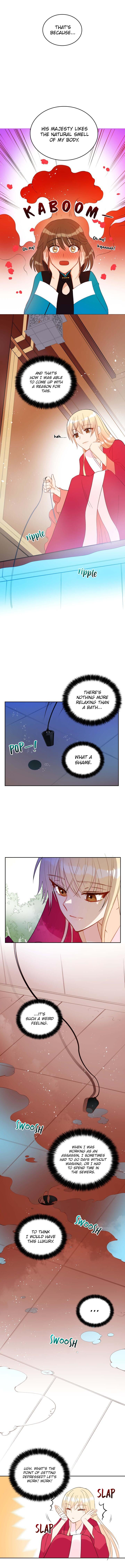Contract Concubine Chapter 11 - page 19