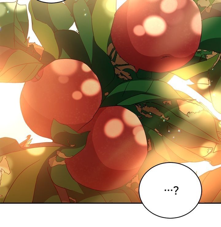 Contract Concubine Chapter 99 - page 13