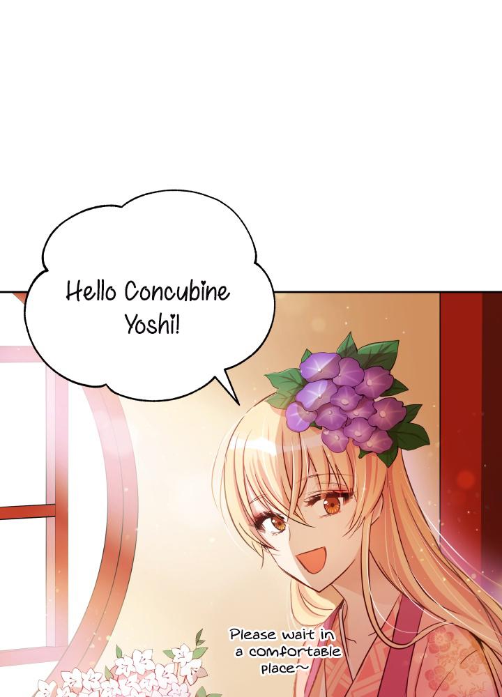 Contract Concubine Chapter 61 - page 43