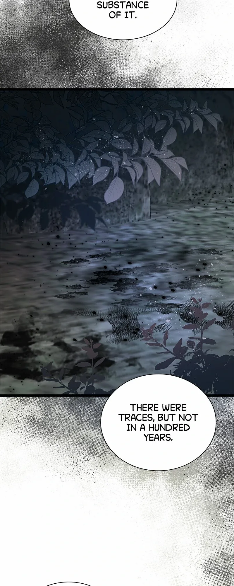 Becoming a Wicked Witch With a Paladin’s First Night Chapter 30 - page 38