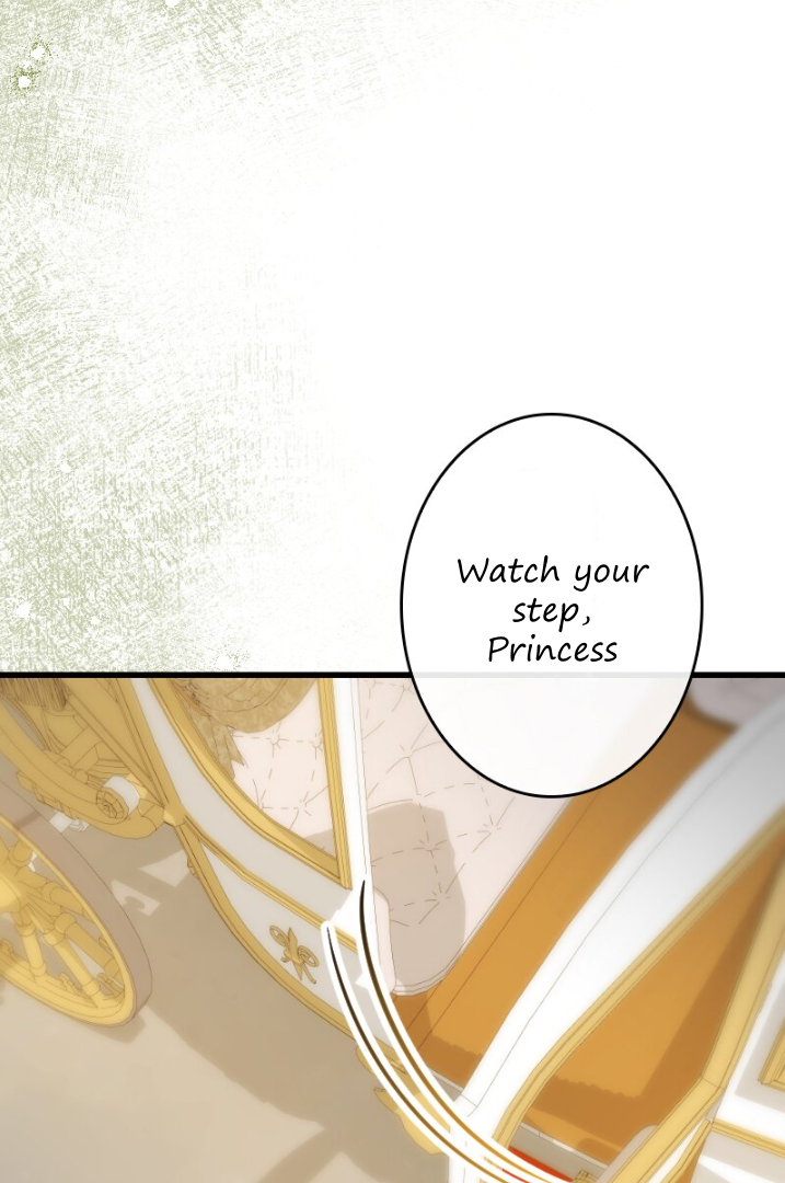 Becoming a Wicked Witch With a Paladin’s First Night Chapter 12 - page 36