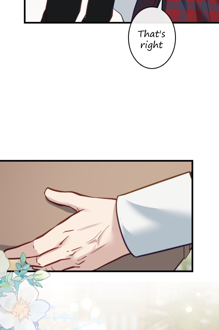 Becoming a Wicked Witch With a Paladin’s First Night Chapter 12 - page 44