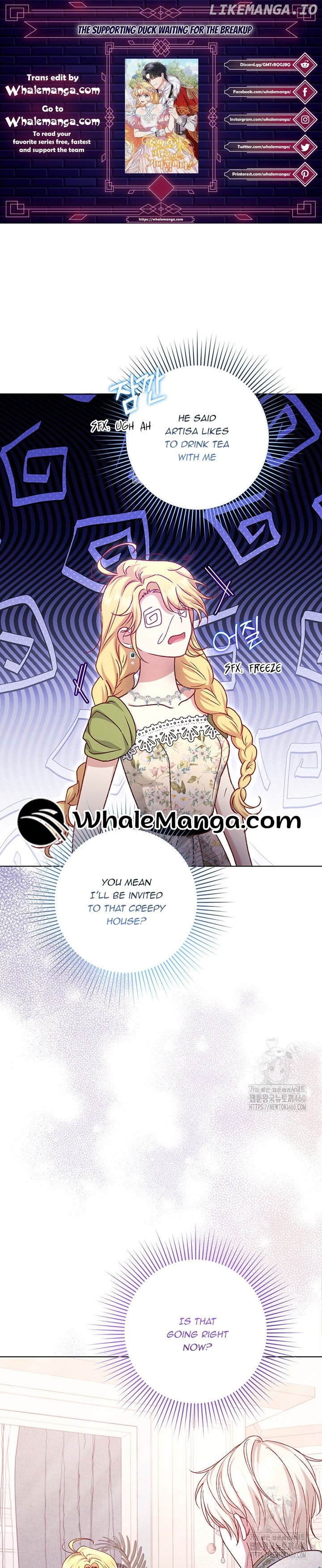 The Supporting Duck Waiting for the Breakup Chapter 7 - page 1