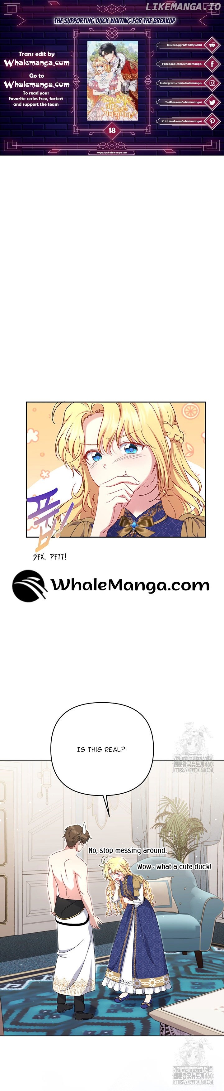 The Supporting Duck Waiting for the Breakup Chapter 18 - page 1
