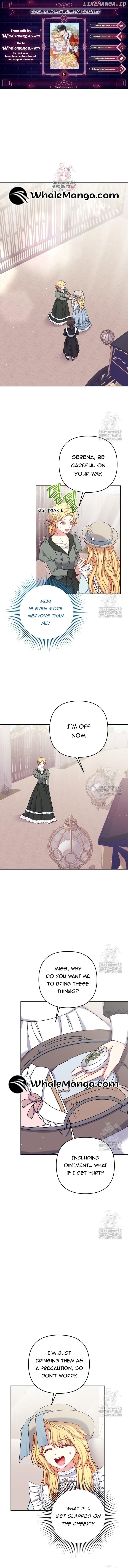 The Supporting Duck Waiting for the Breakup Chapter 12 - page 1