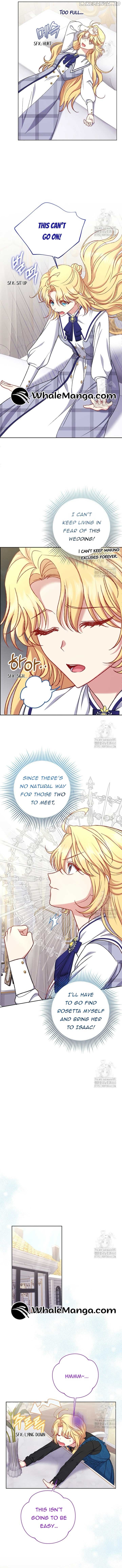 The Supporting Duck Waiting for the Breakup Chapter 13 - page 5