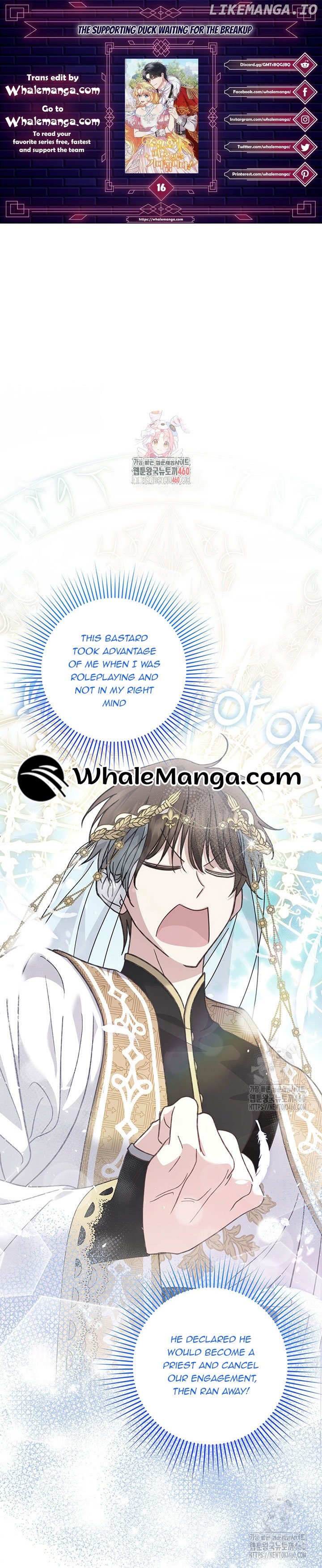 The Supporting Duck Waiting for the Breakup Chapter 16 - page 1