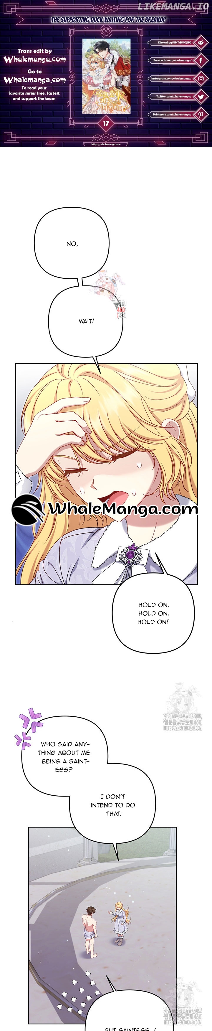 The Supporting Duck Waiting for the Breakup Chapter 17 - page 1