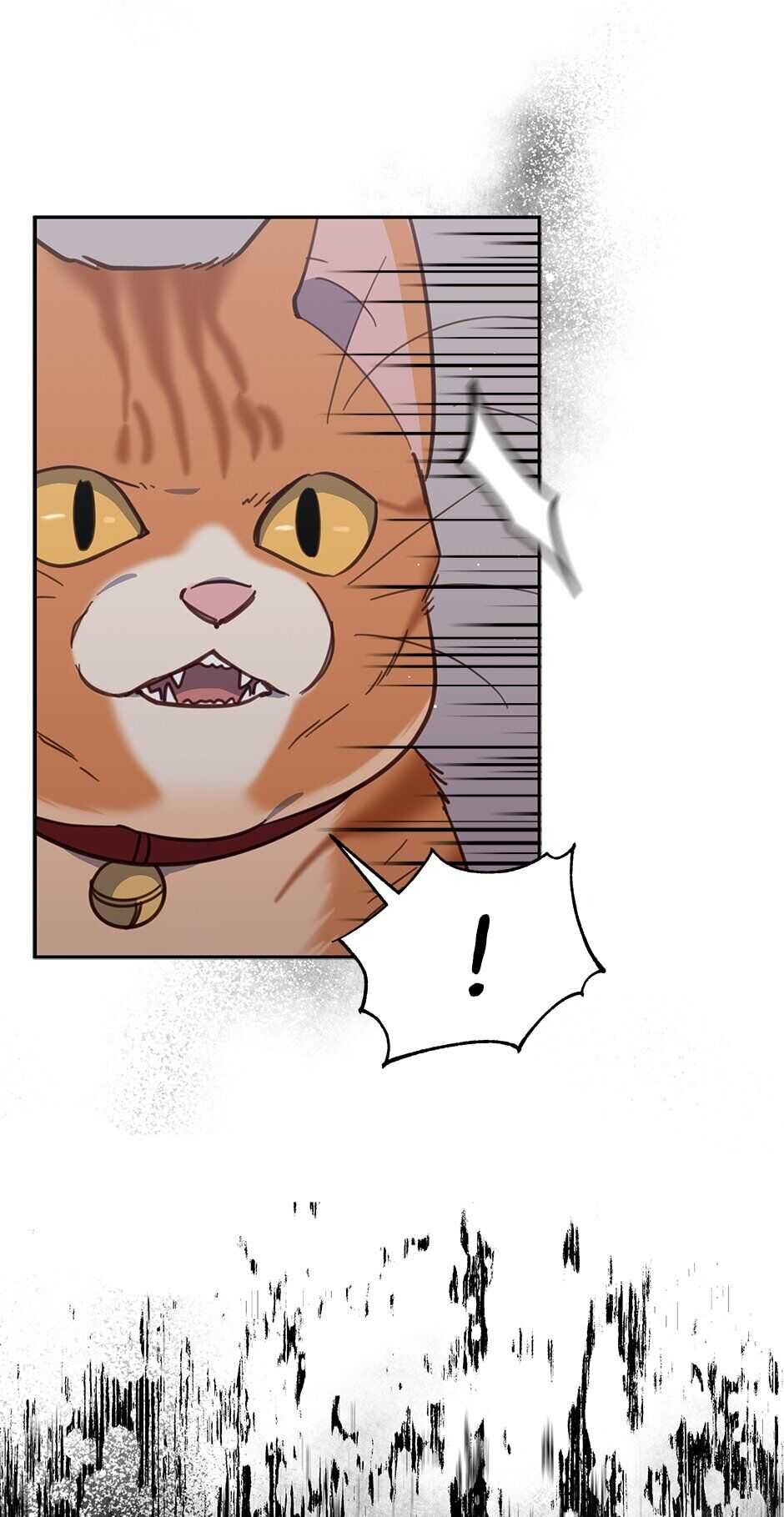 An animal hospital in the border area chapter 35 - page 31