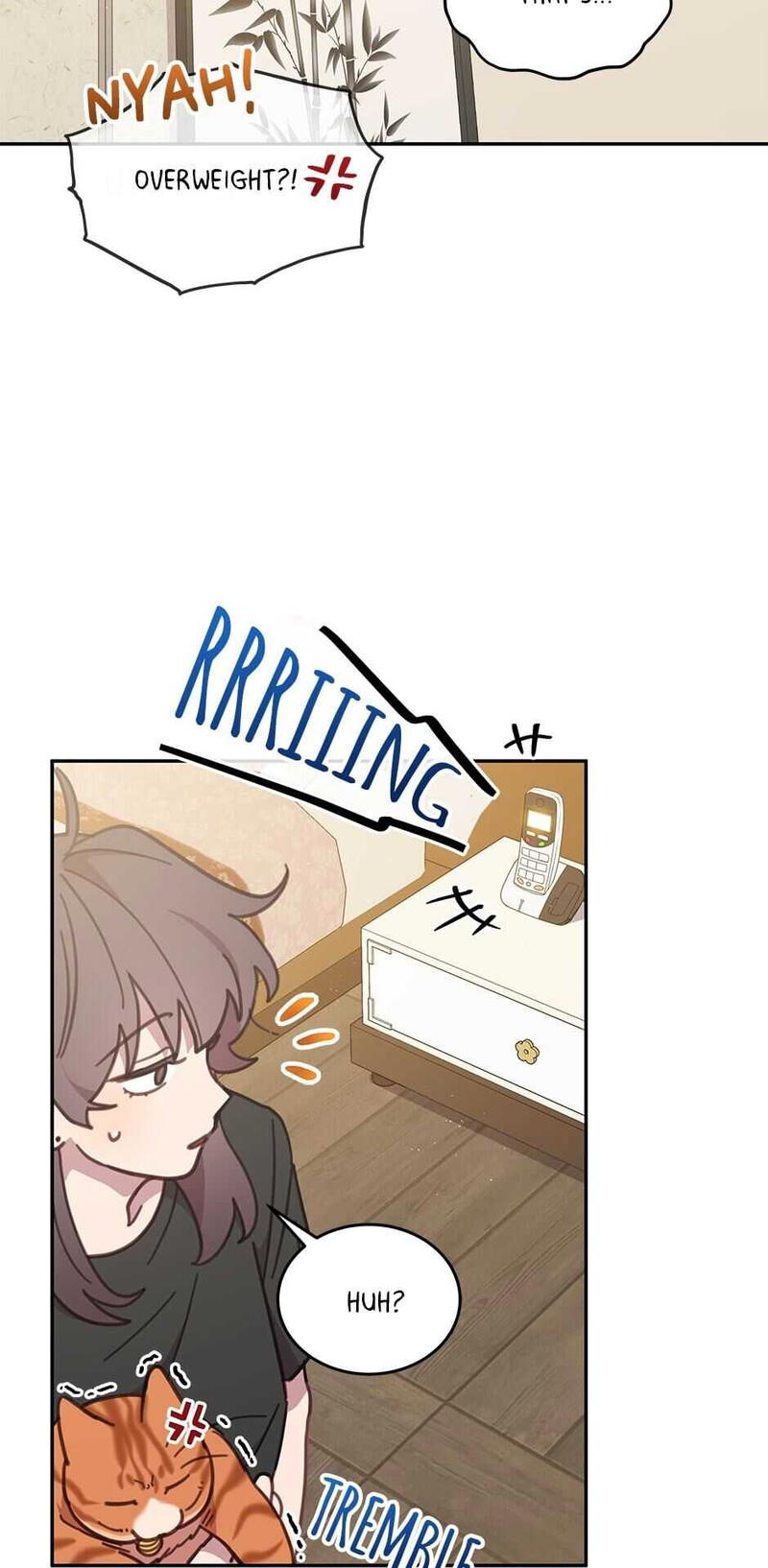 An animal hospital in the border area chapter 39 - page 27