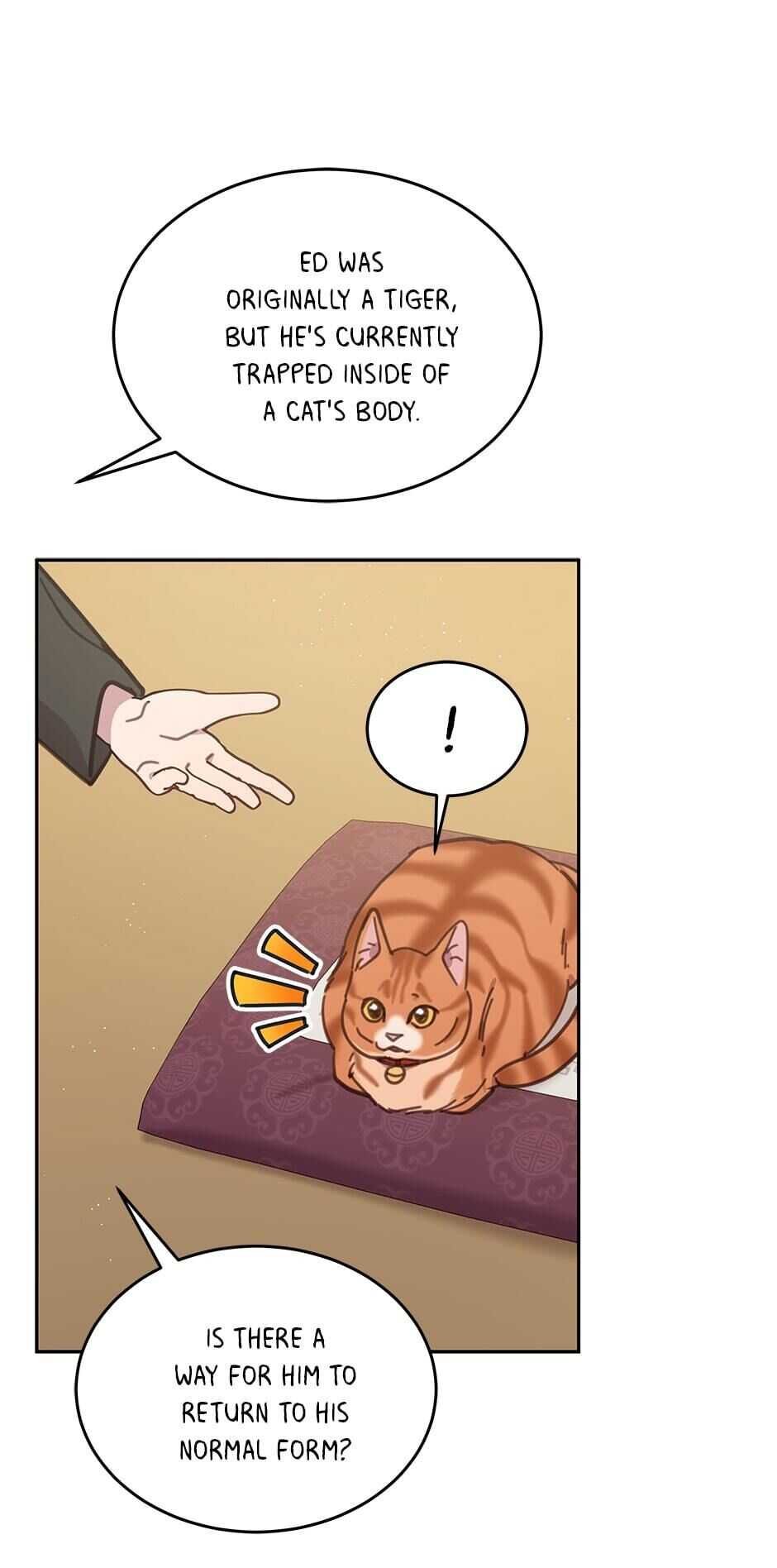An animal hospital in the border area chapter 39 - page 52