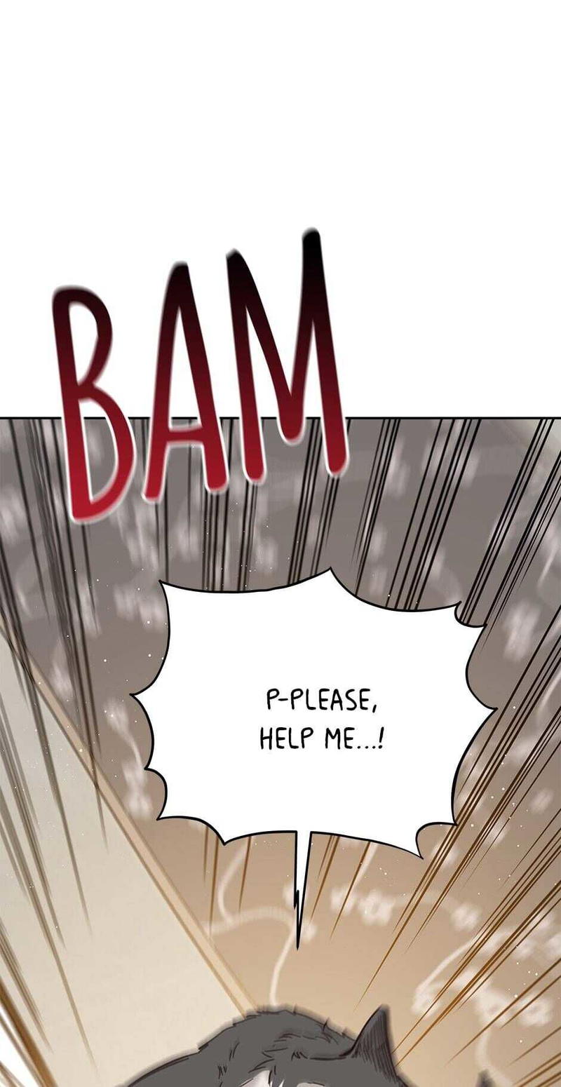 An animal hospital in the border area chapter 41 - page 1
