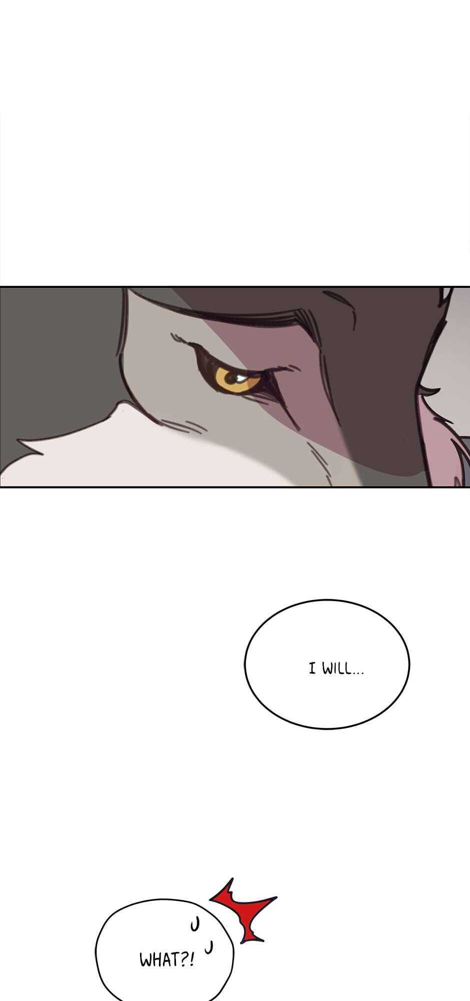 An animal hospital in the border area chapter 41 - page 71