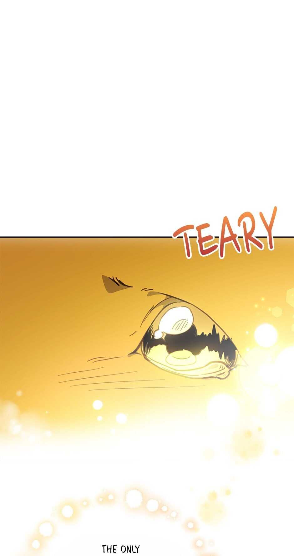 An animal hospital in the border area chapter 42 - page 52