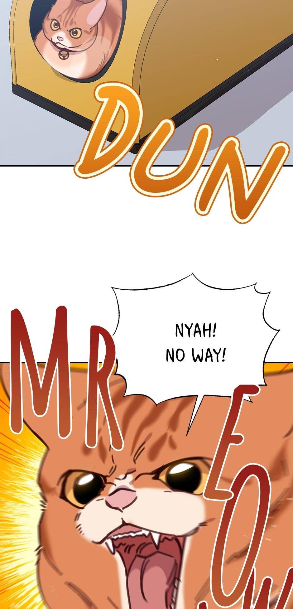 An animal hospital in the border area chapter 33 - page 18