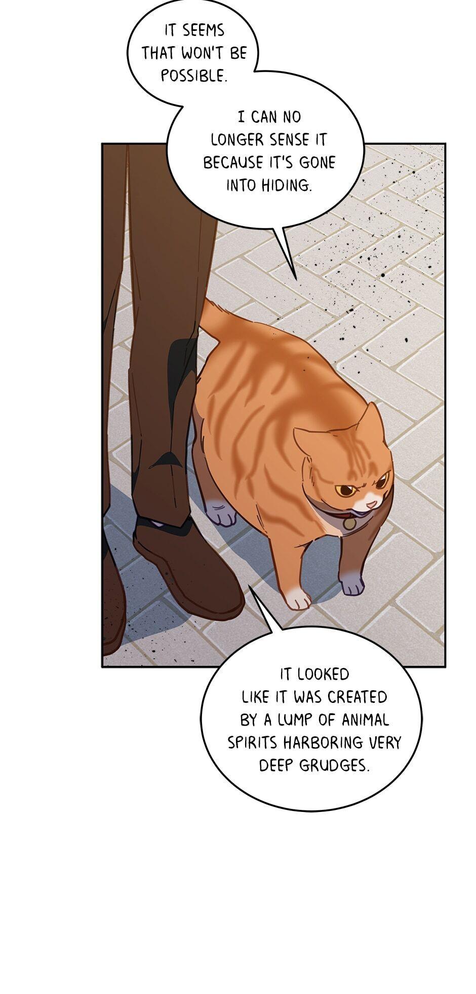 An animal hospital in the border area chapter 33 - page 47