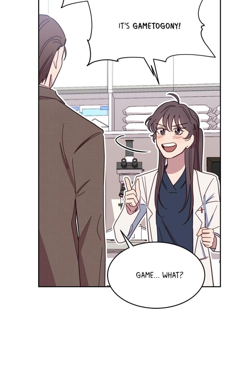 An animal hospital in the border area chapter 6 - page 29