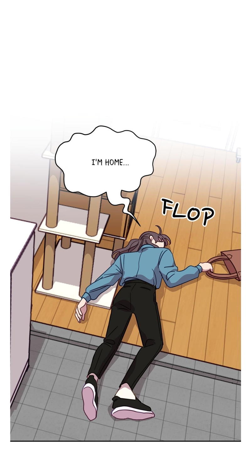 An animal hospital in the border area chapter 7 - page 1