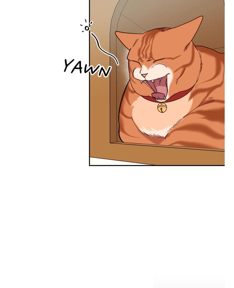 An animal hospital in the border area chapter 7 - page 13