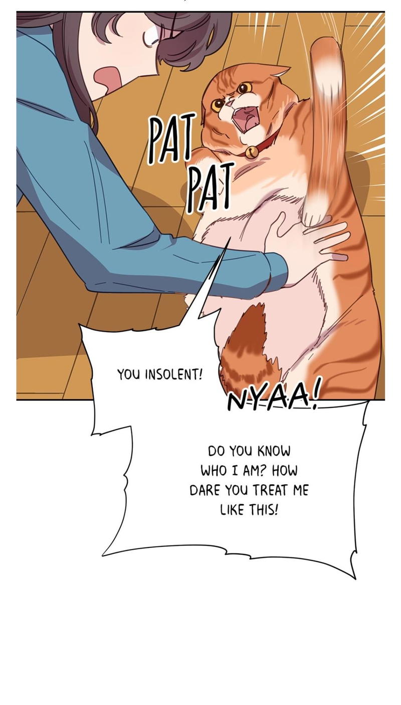 An animal hospital in the border area chapter 7 - page 17