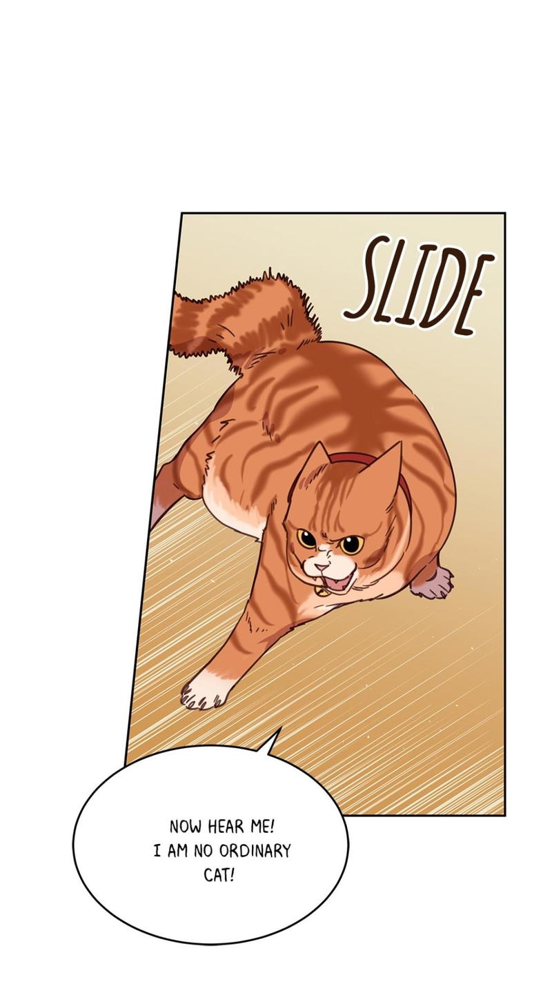 An animal hospital in the border area chapter 7 - page 18