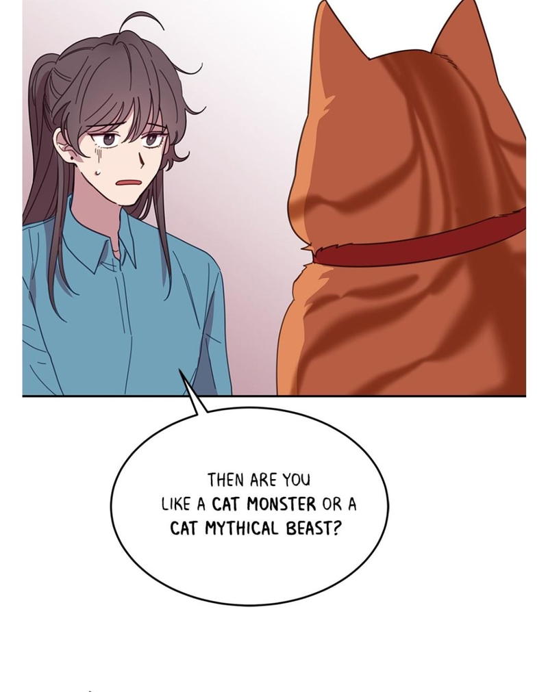 An animal hospital in the border area chapter 7 - page 20