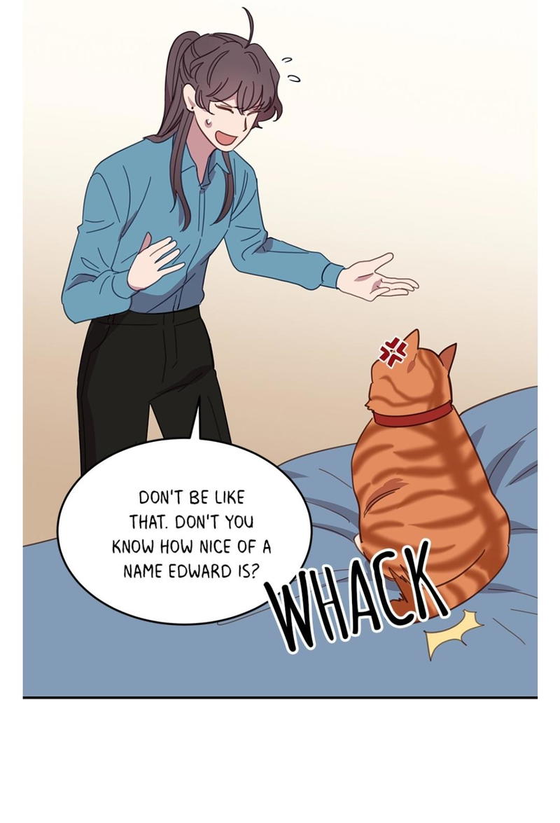 An animal hospital in the border area chapter 7 - page 39