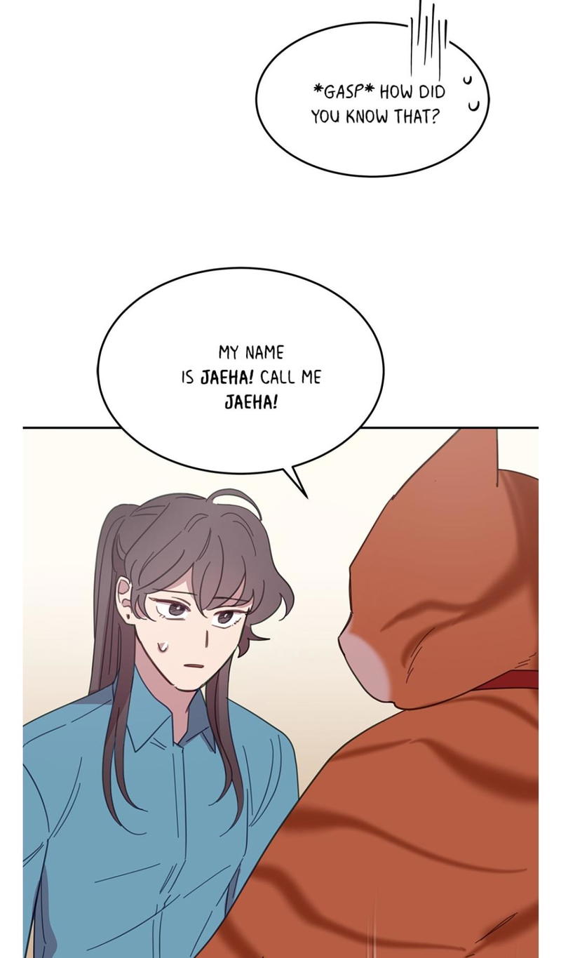 An animal hospital in the border area chapter 7 - page 41