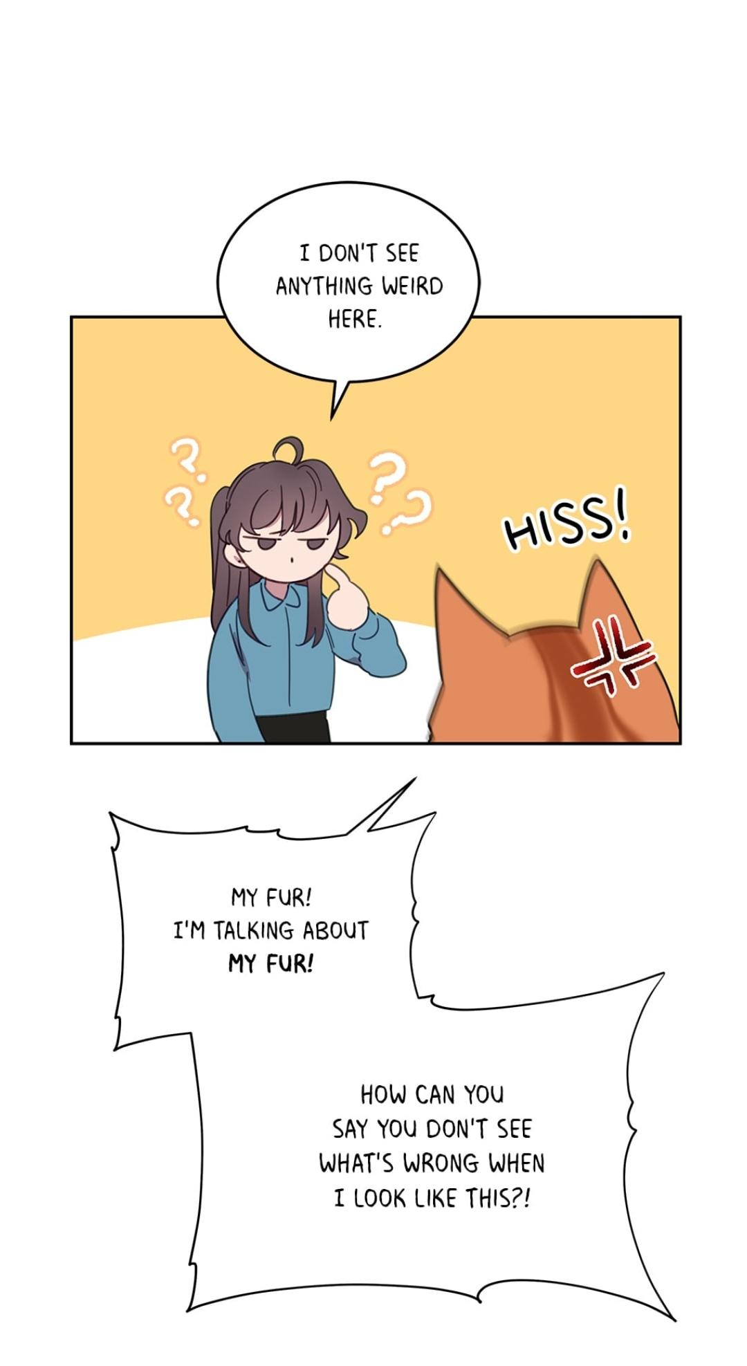 An animal hospital in the border area chapter 7 - page 44