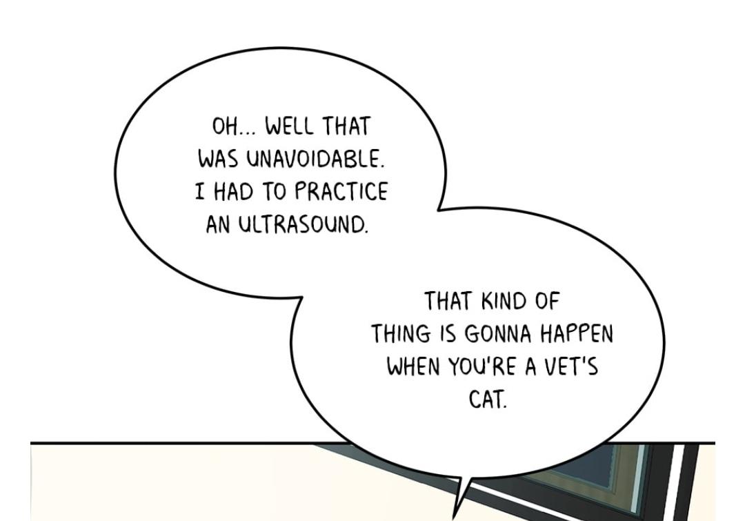 An animal hospital in the border area chapter 7 - page 45