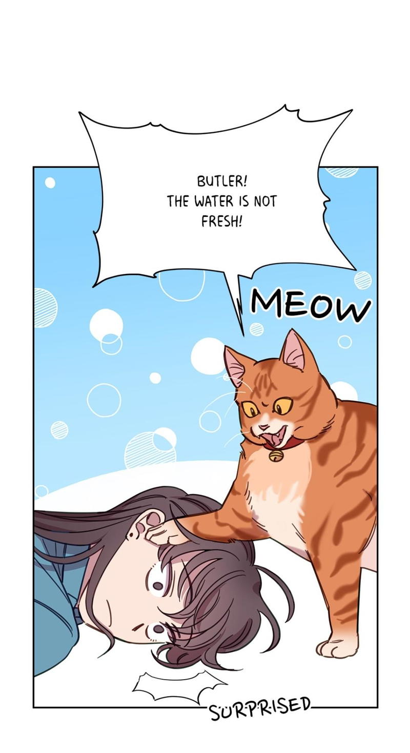 An animal hospital in the border area chapter 7 - page 5