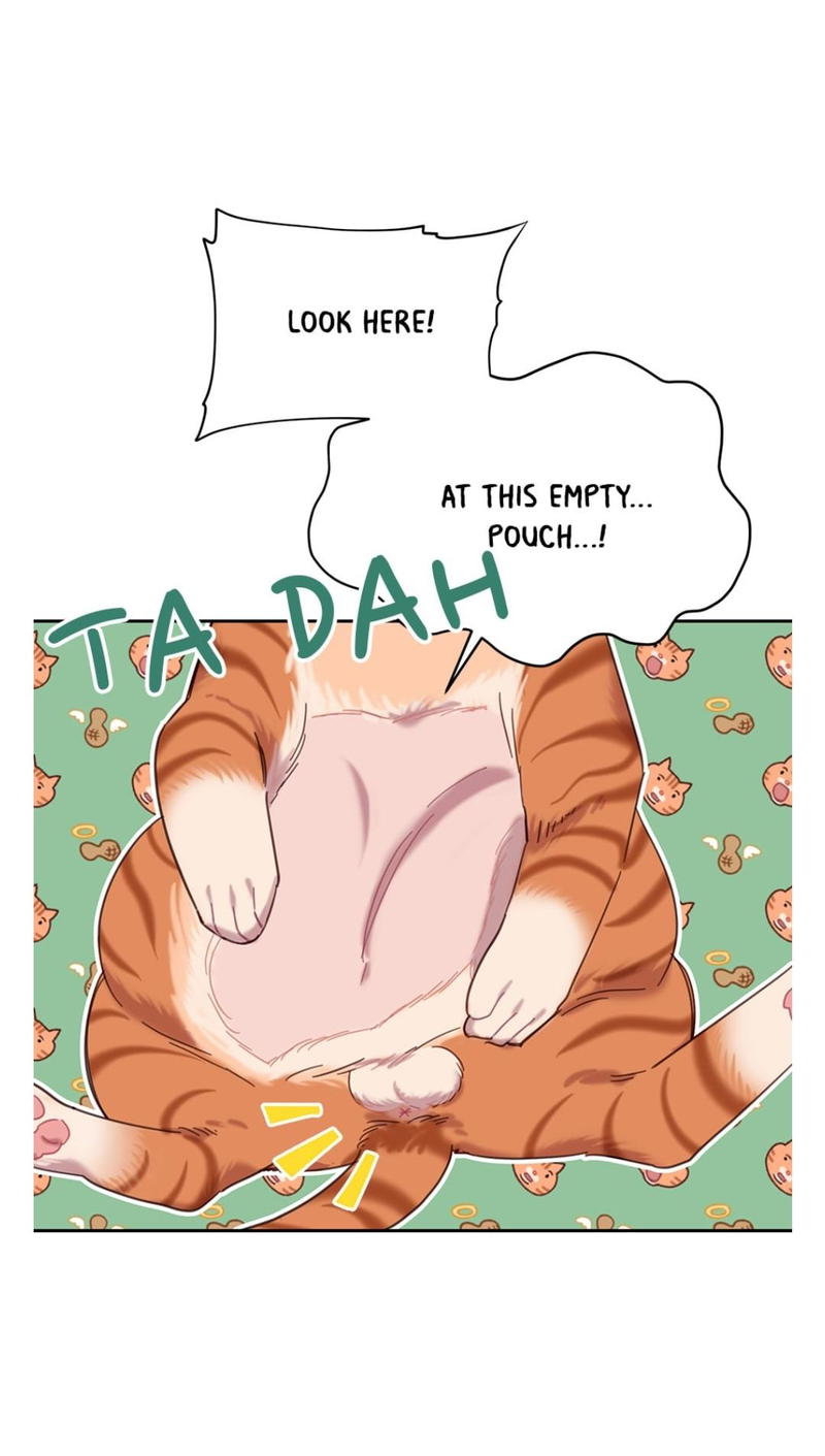 An animal hospital in the border area chapter 7 - page 53