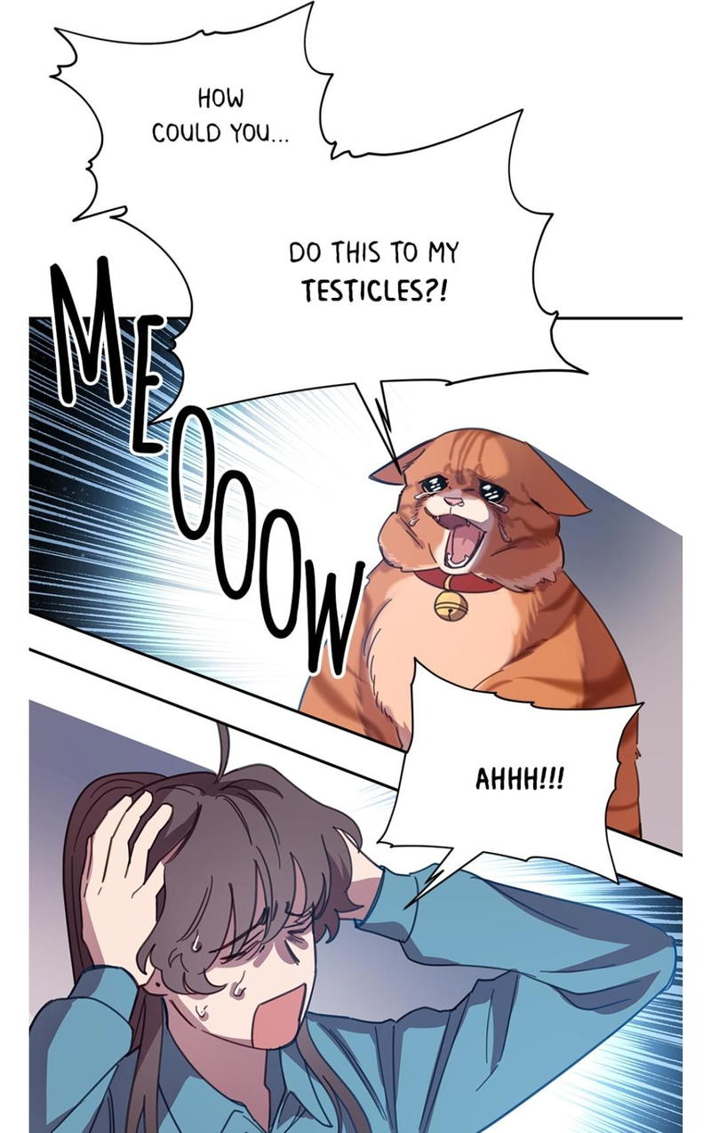 An animal hospital in the border area chapter 7 - page 54