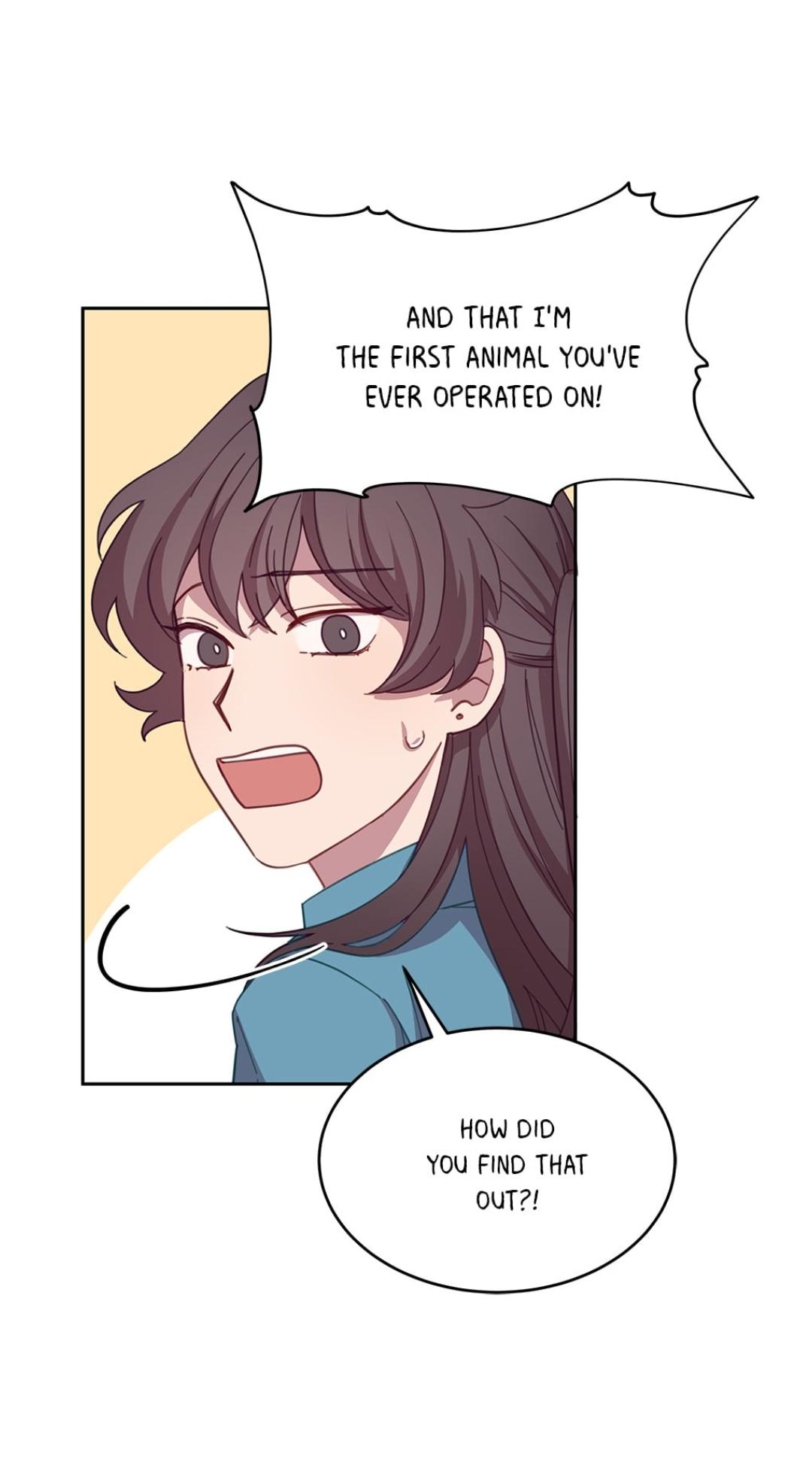 An animal hospital in the border area chapter 7 - page 58