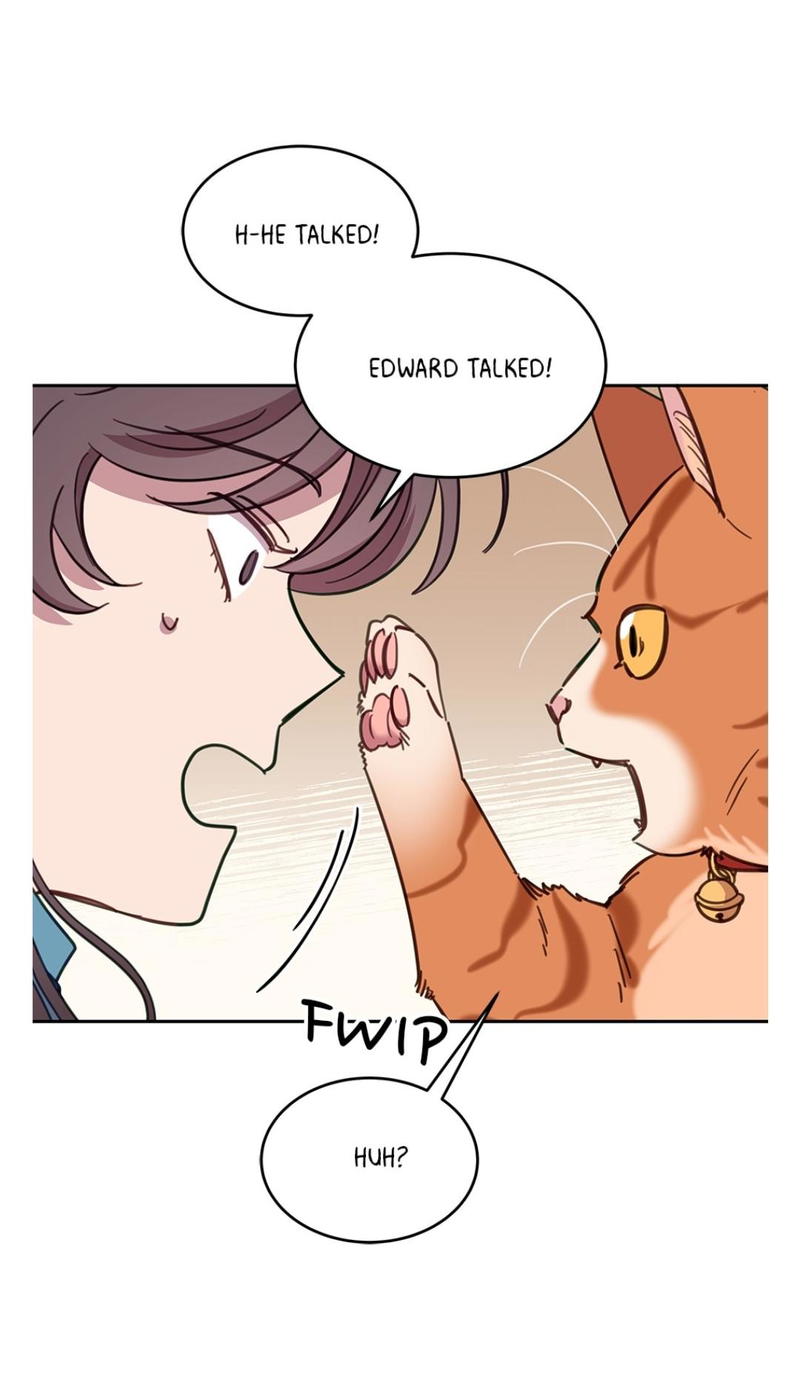 An animal hospital in the border area chapter 7 - page 6
