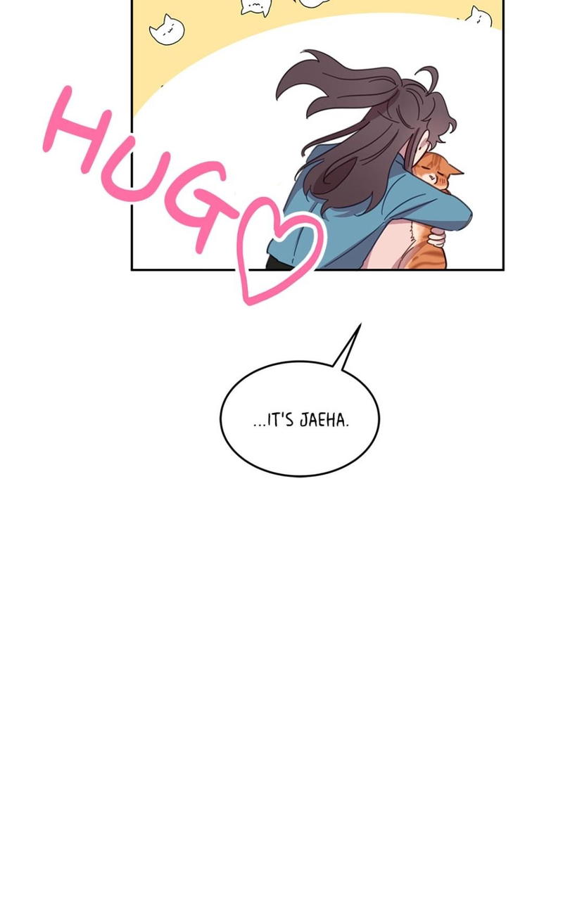 An animal hospital in the border area chapter 7 - page 72