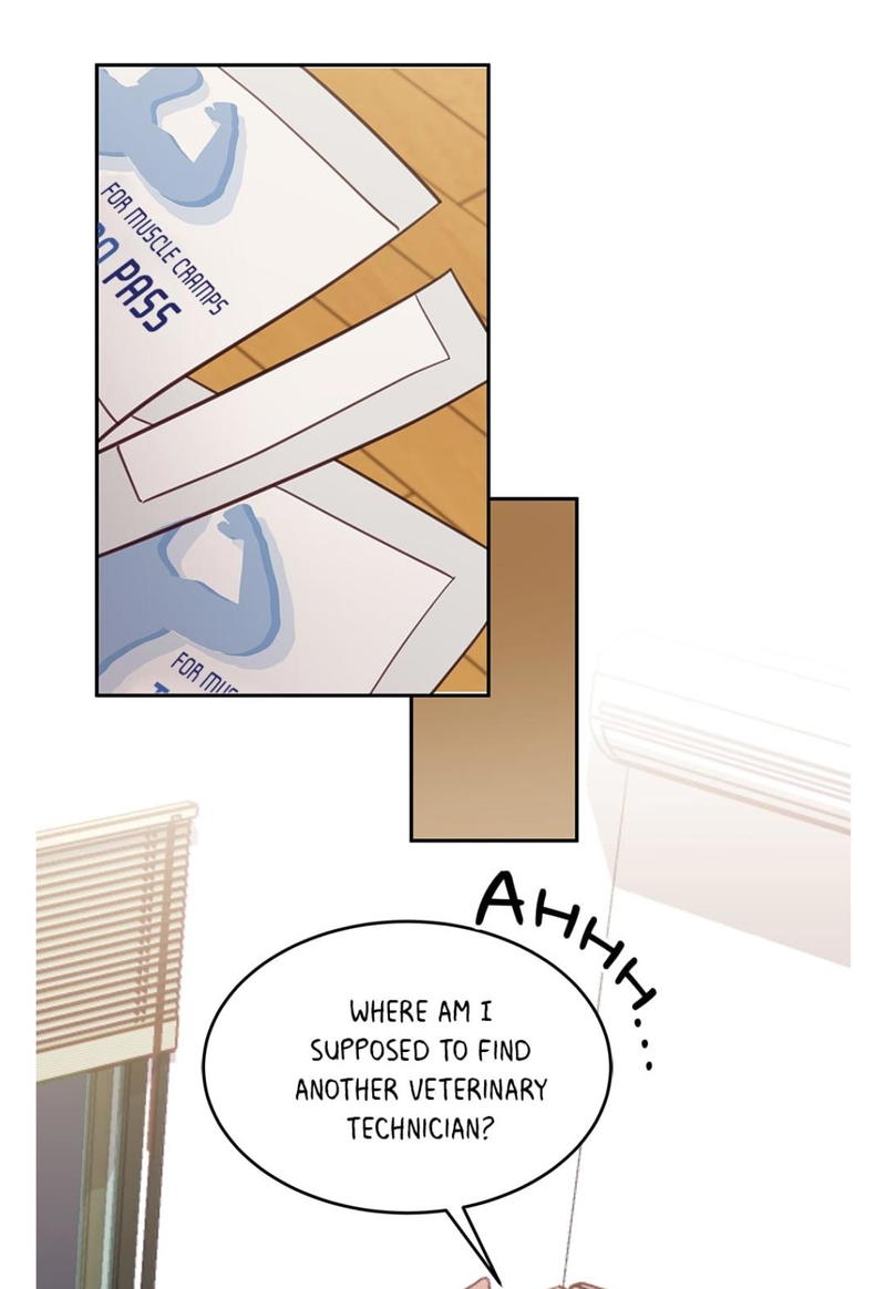 An animal hospital in the border area chapter 8 - page 33