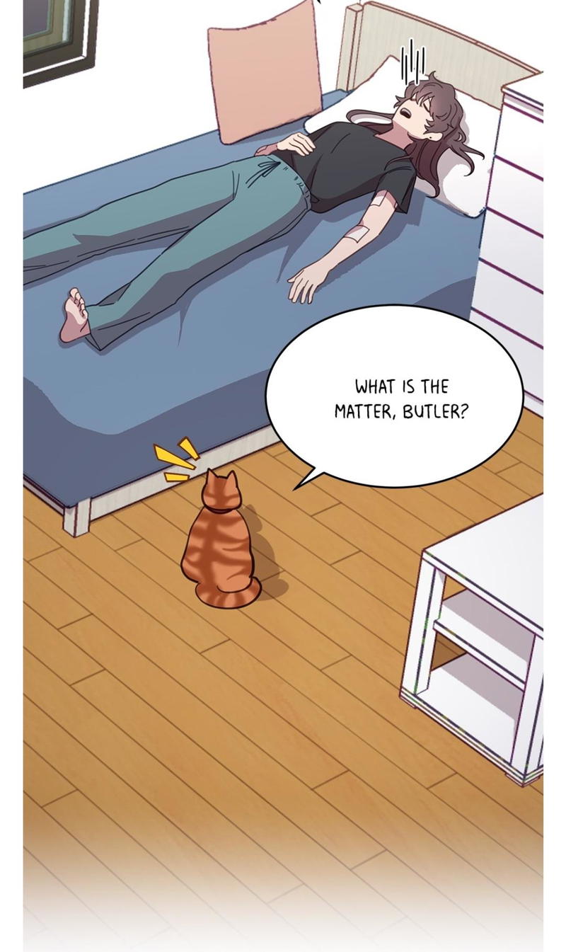 An animal hospital in the border area chapter 8 - page 34