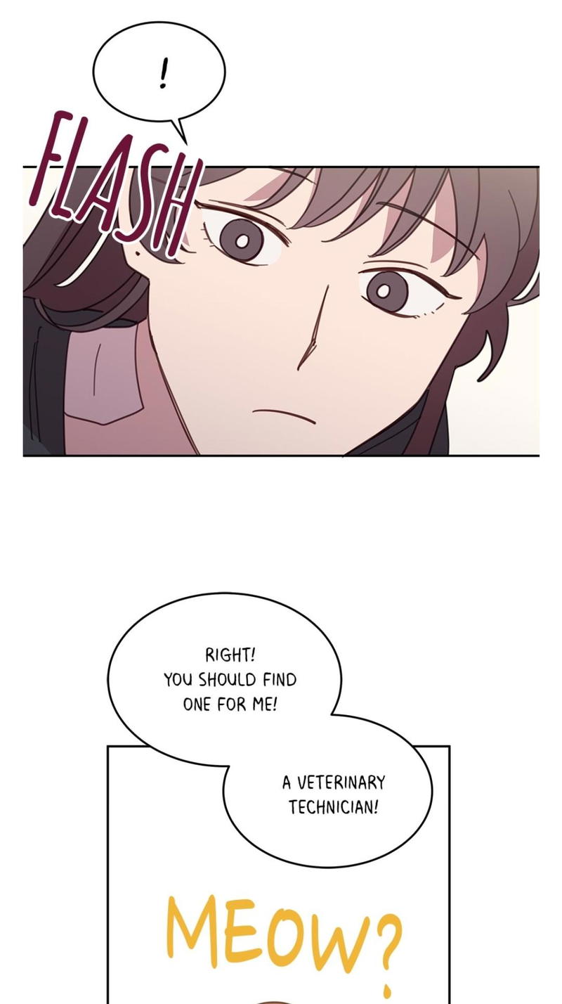 An animal hospital in the border area chapter 8 - page 38